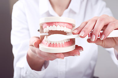 The image shows a person with a toothbrush, holding a model set of teeth up to their mouth, with a focus on dental hygiene.
